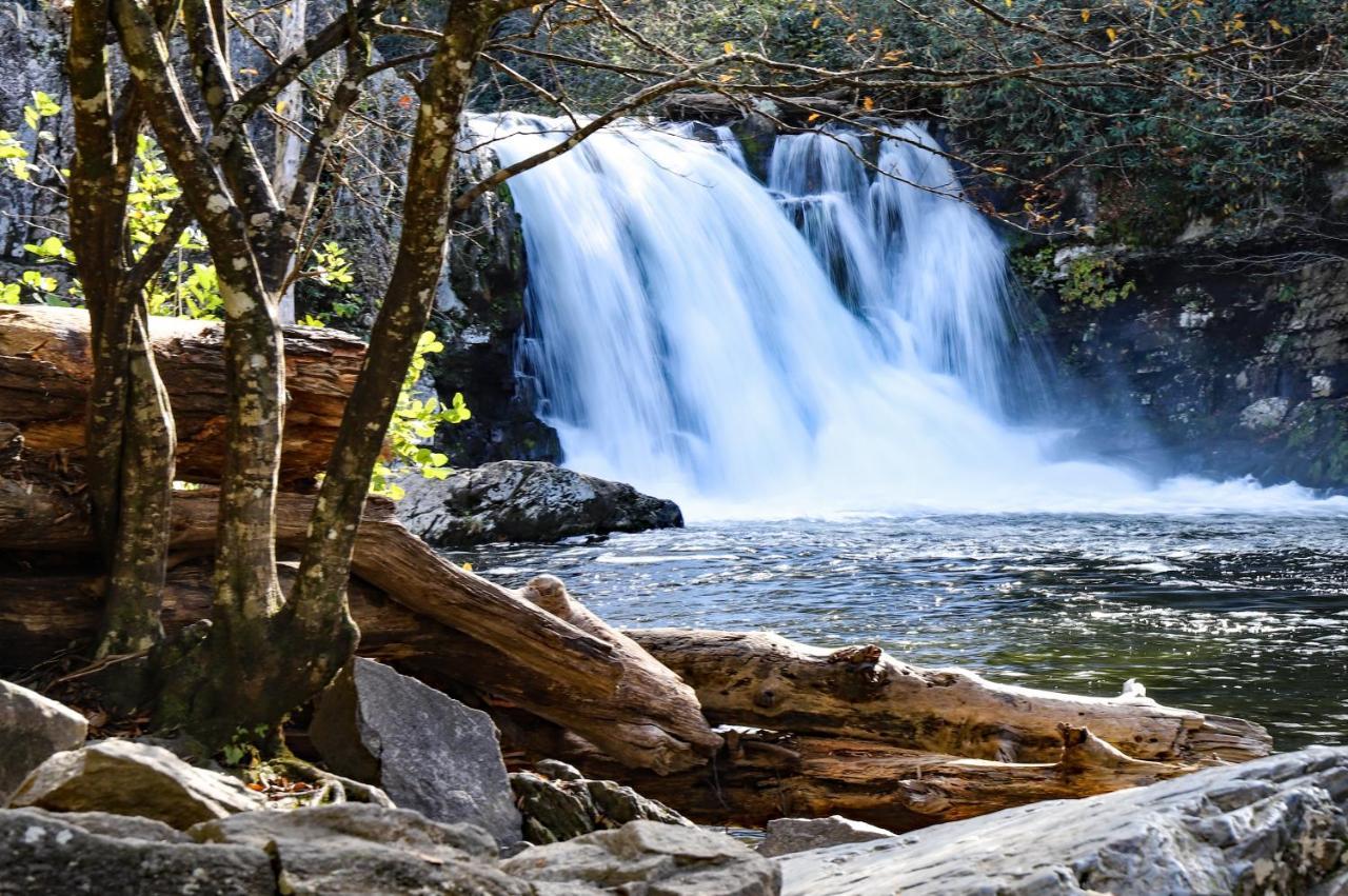 Mountain Flower Pigeon Forge Εξωτερικό φωτογραφία
